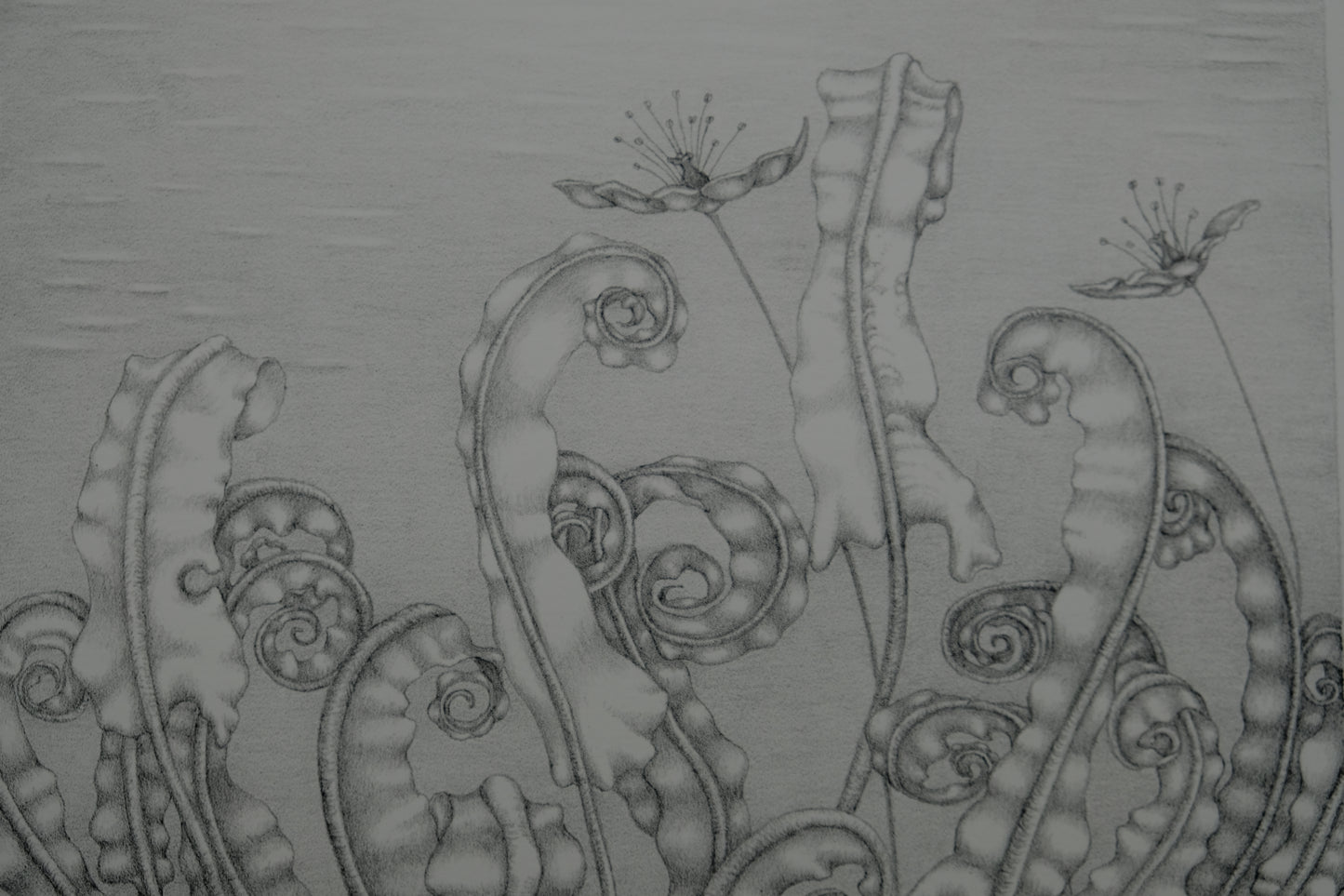 Gochka CHAREWICZ : Horizon - Lithographie originale signée