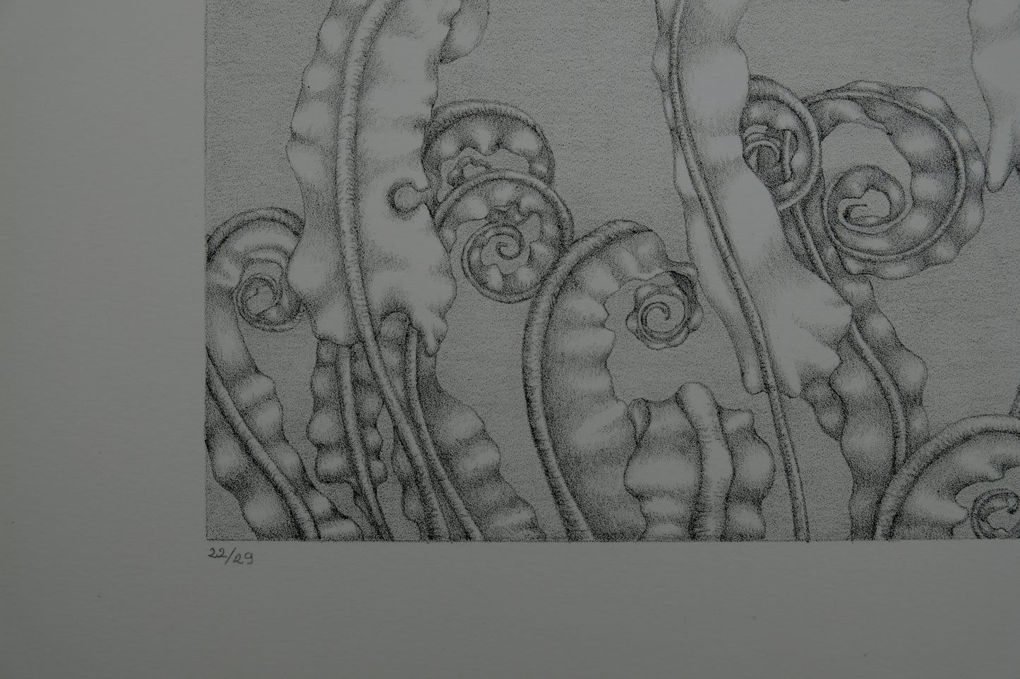 Gochka CHAREWICZ : Horizon - Lithographie originale signée