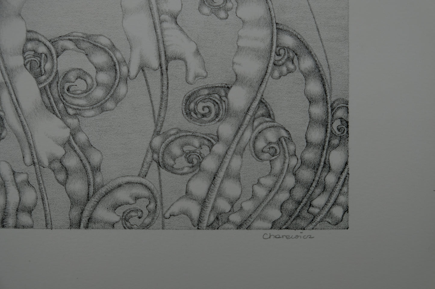 Gochka CHAREWICZ : Horizon - Lithographie originale signée