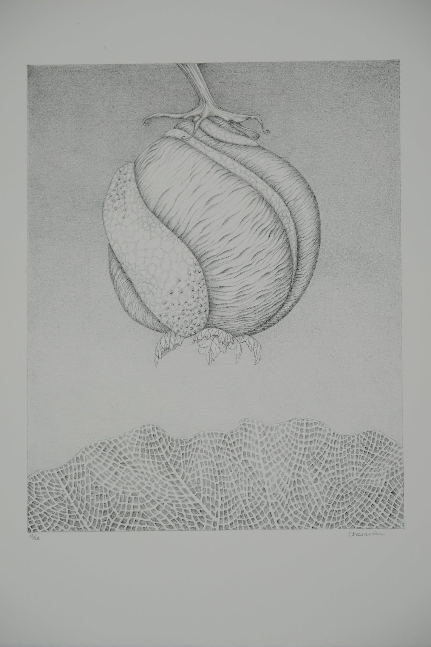 Gochka CHAREWICZ : Avant la naissance - Lithographie originale signée