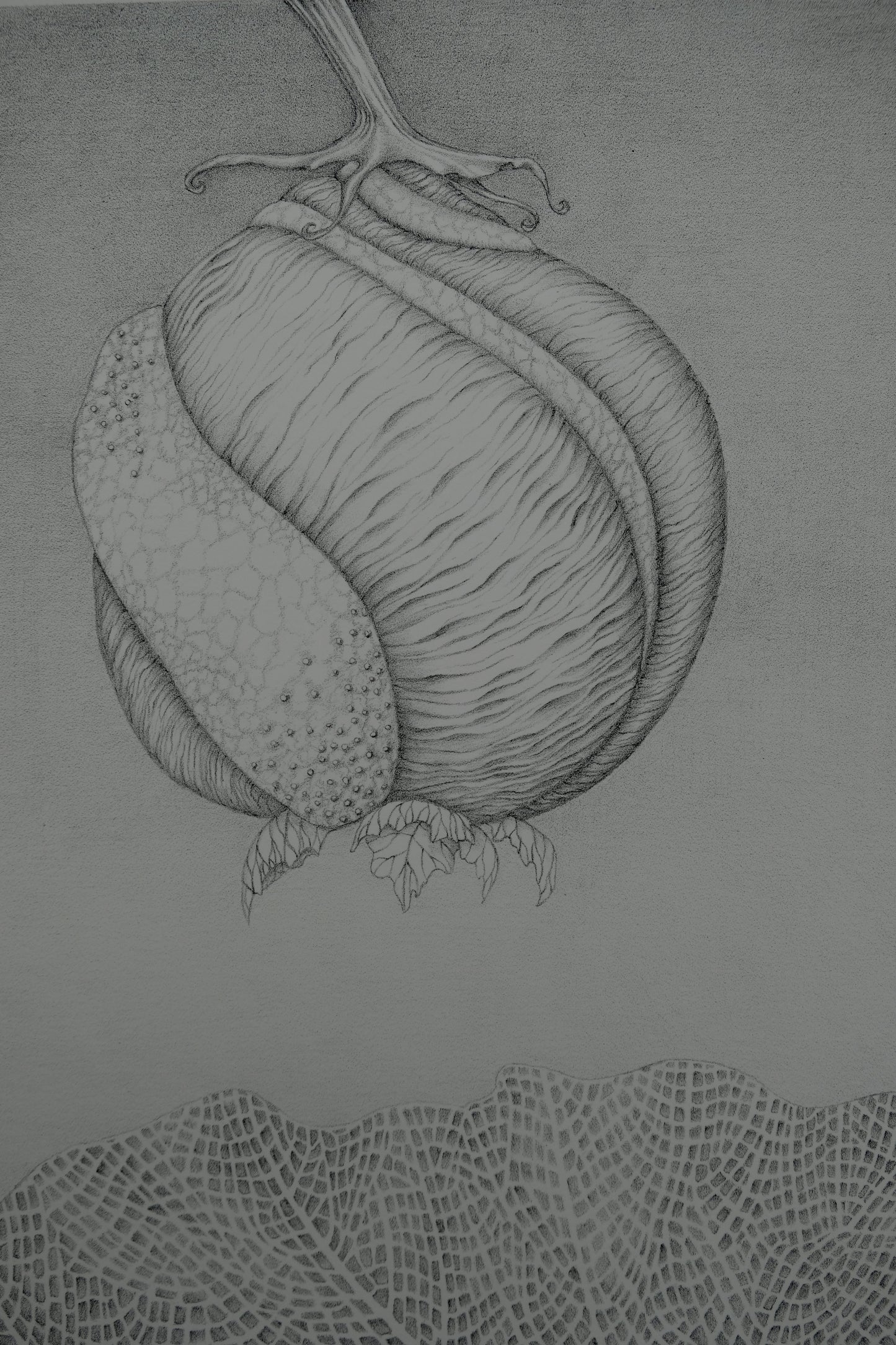 Gochka CHAREWICZ : Avant la naissance - Lithographie originale signée
