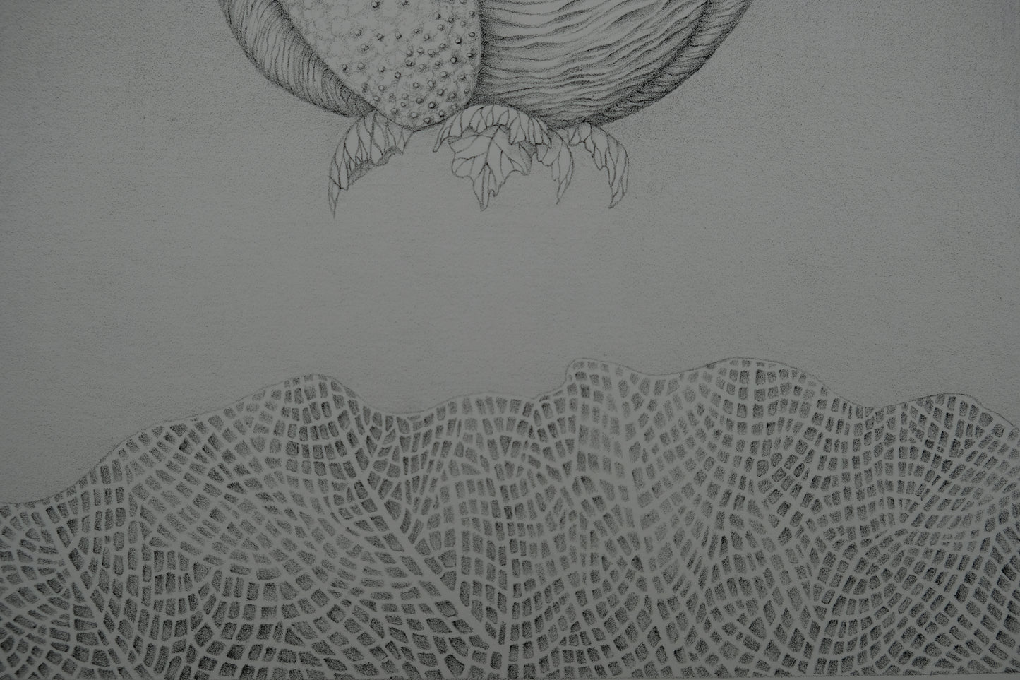 Gochka CHAREWICZ : Avant la naissance - Lithographie originale signée