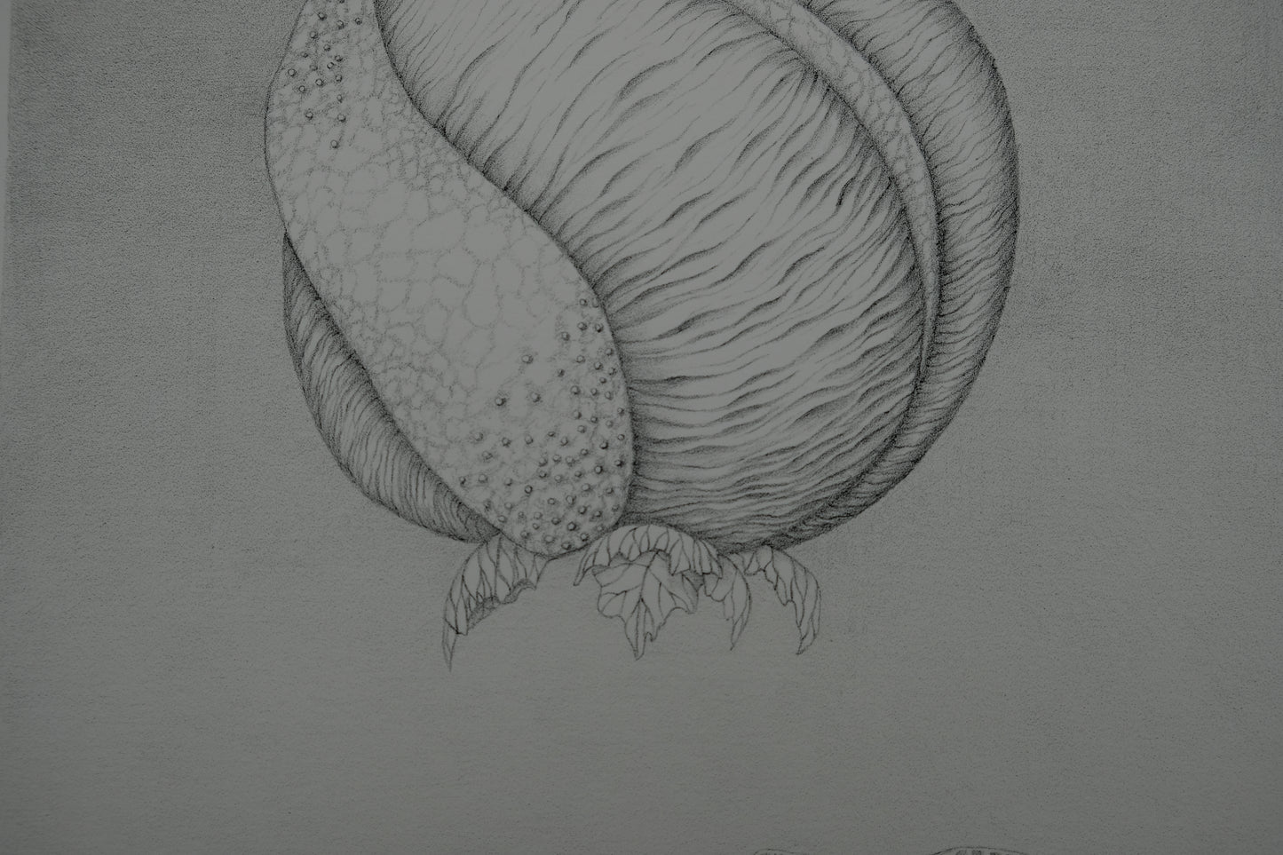 Gochka CHAREWICZ : Avant la naissance - Lithographie originale signée