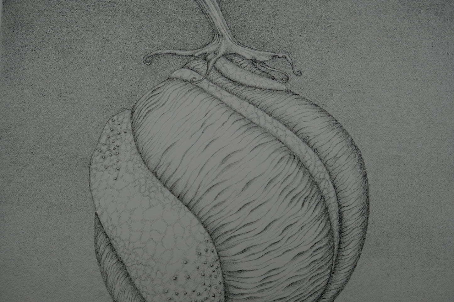 Gochka CHAREWICZ : Avant la naissance - Lithographie originale signée