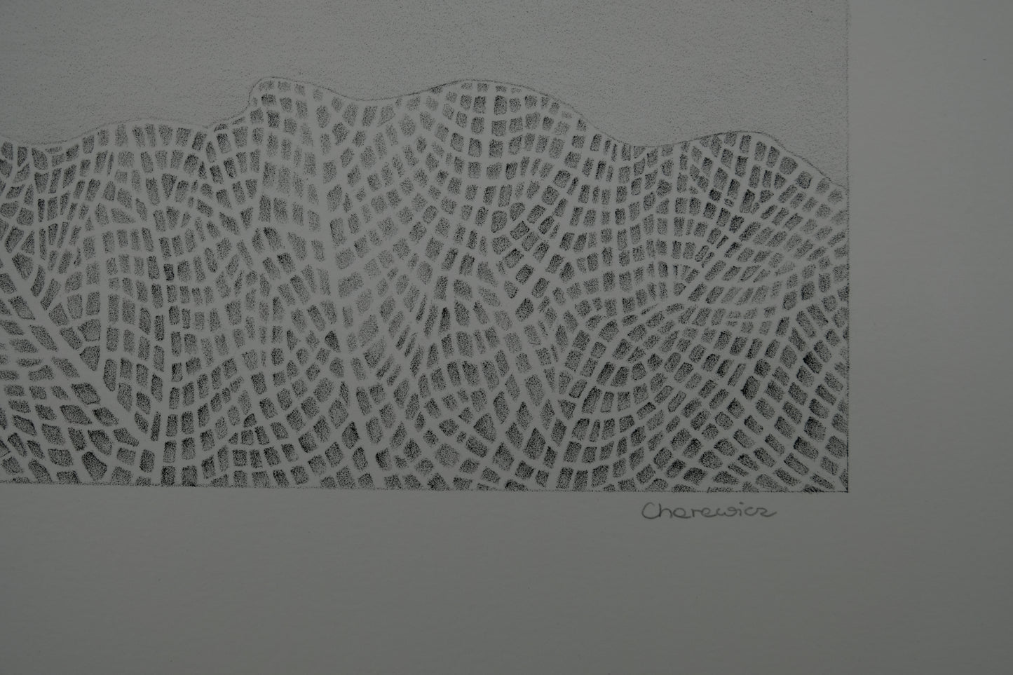 Gochka CHAREWICZ : Avant la naissance - Lithographie originale signée