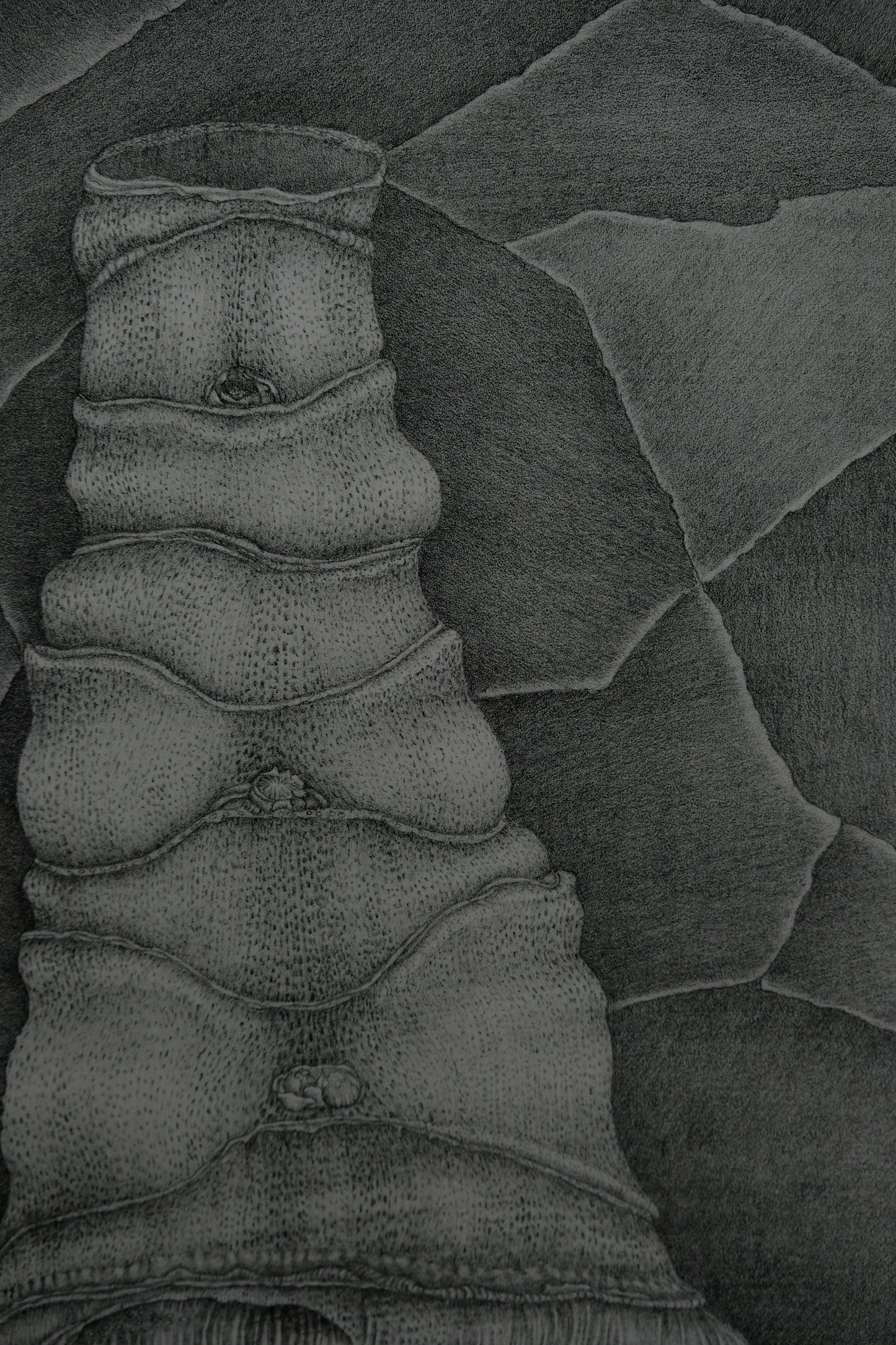 Gochka CHAREWICZ : La tour - Lithographie originale signée