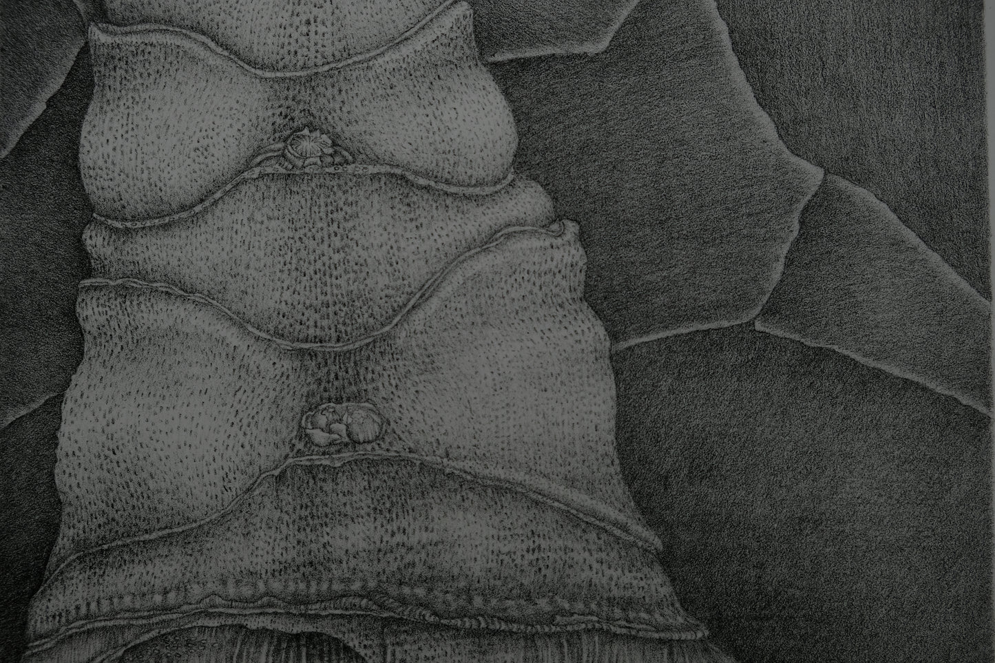Gochka CHAREWICZ : La tour - Lithographie originale signée