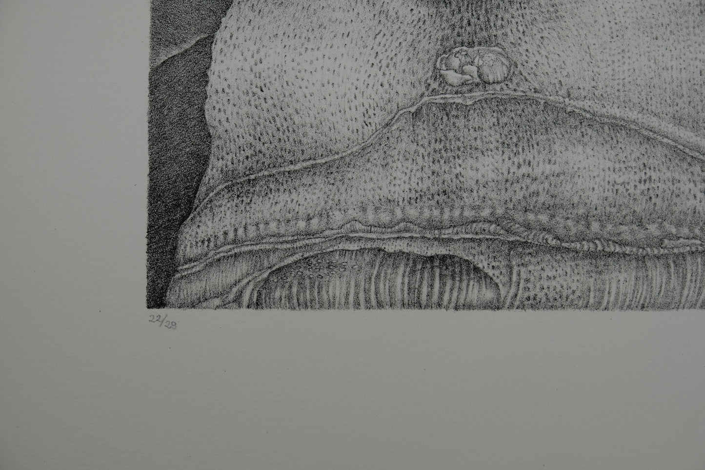 Gochka CHAREWICZ : La tour - Lithographie originale signée