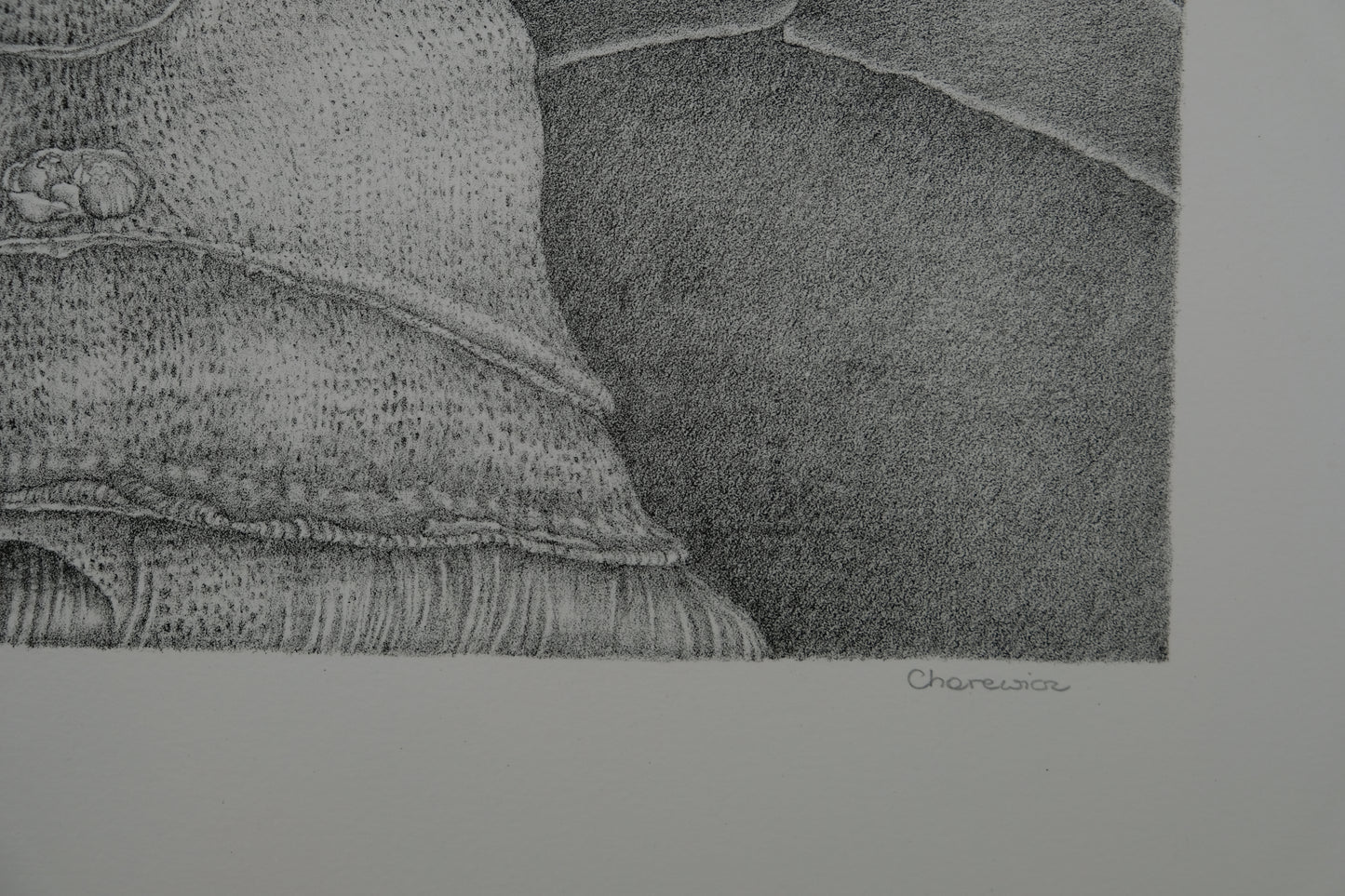 Gochka CHAREWICZ : La tour - Lithographie originale signée