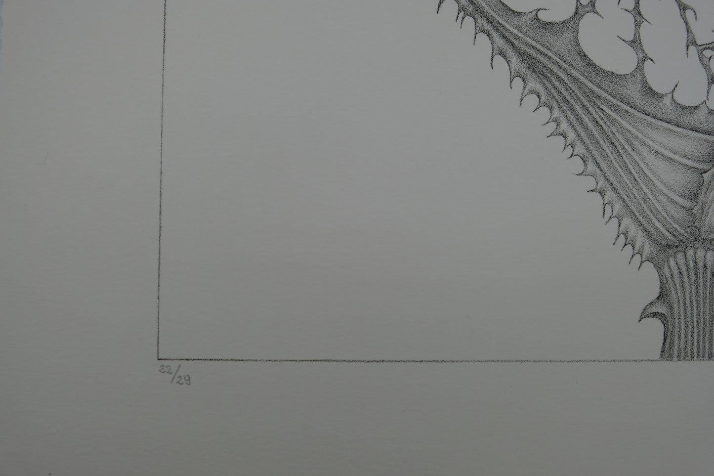 Gochka CHAREWICZ : Naissance - Lithographie originale signée