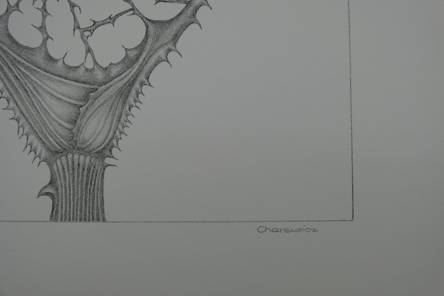 Gochka CHAREWICZ : Naissance - Lithographie originale signée