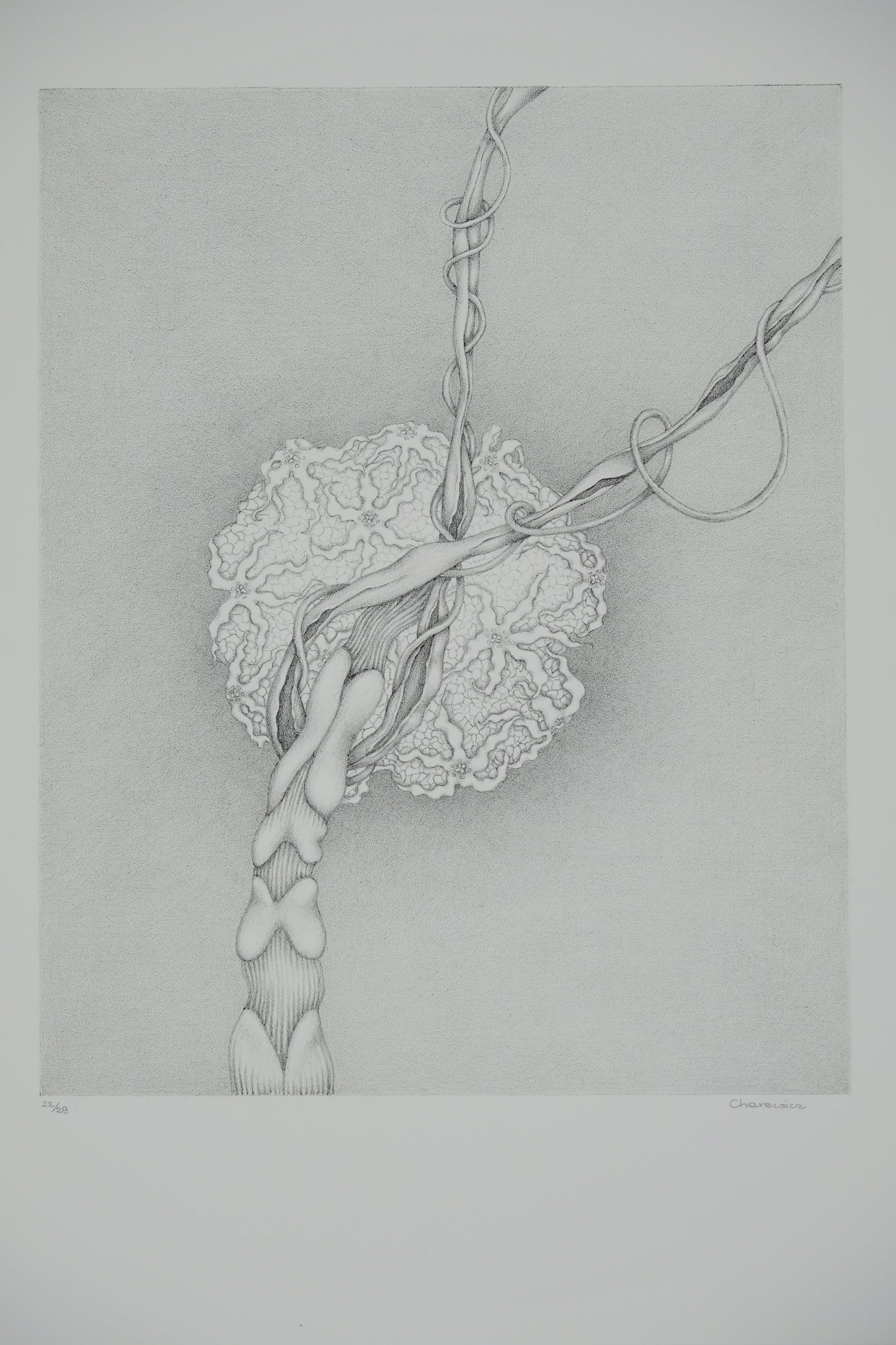Gochka CHAREWICZ : Eclosion - Lithographie originale signée