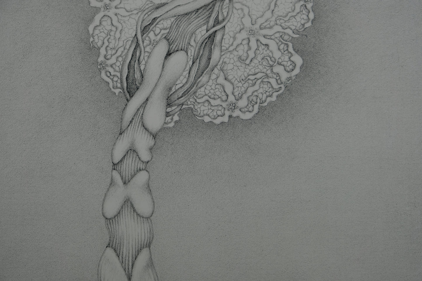 Gochka CHAREWICZ : Eclosion - Lithographie originale signée