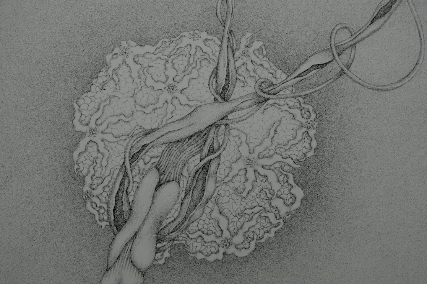 Gochka CHAREWICZ : Eclosion - Lithographie originale signée