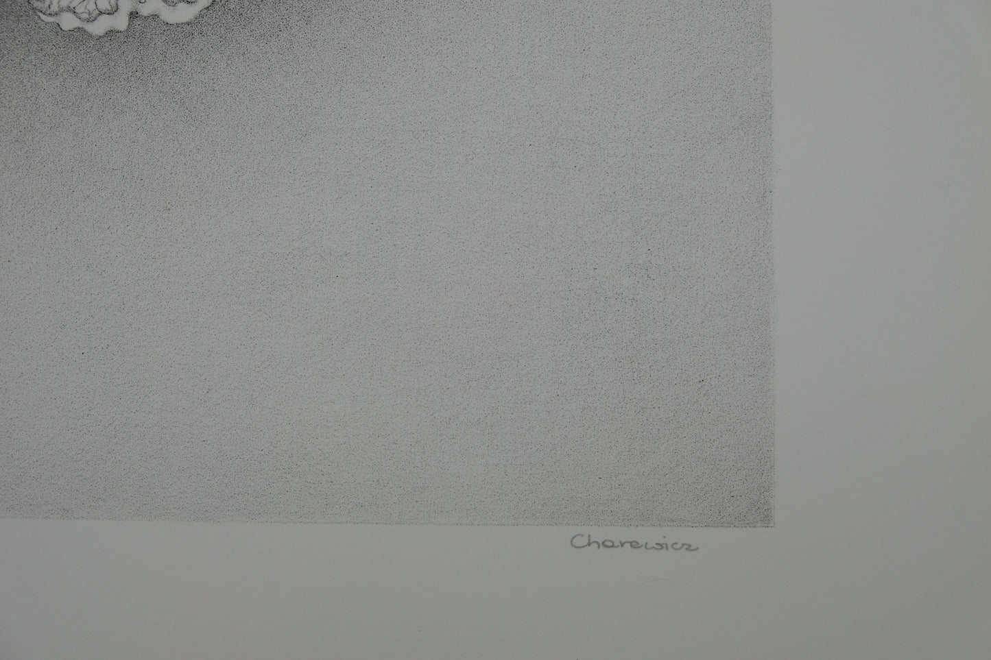 Gochka CHAREWICZ : Eclosion - Lithographie originale signée