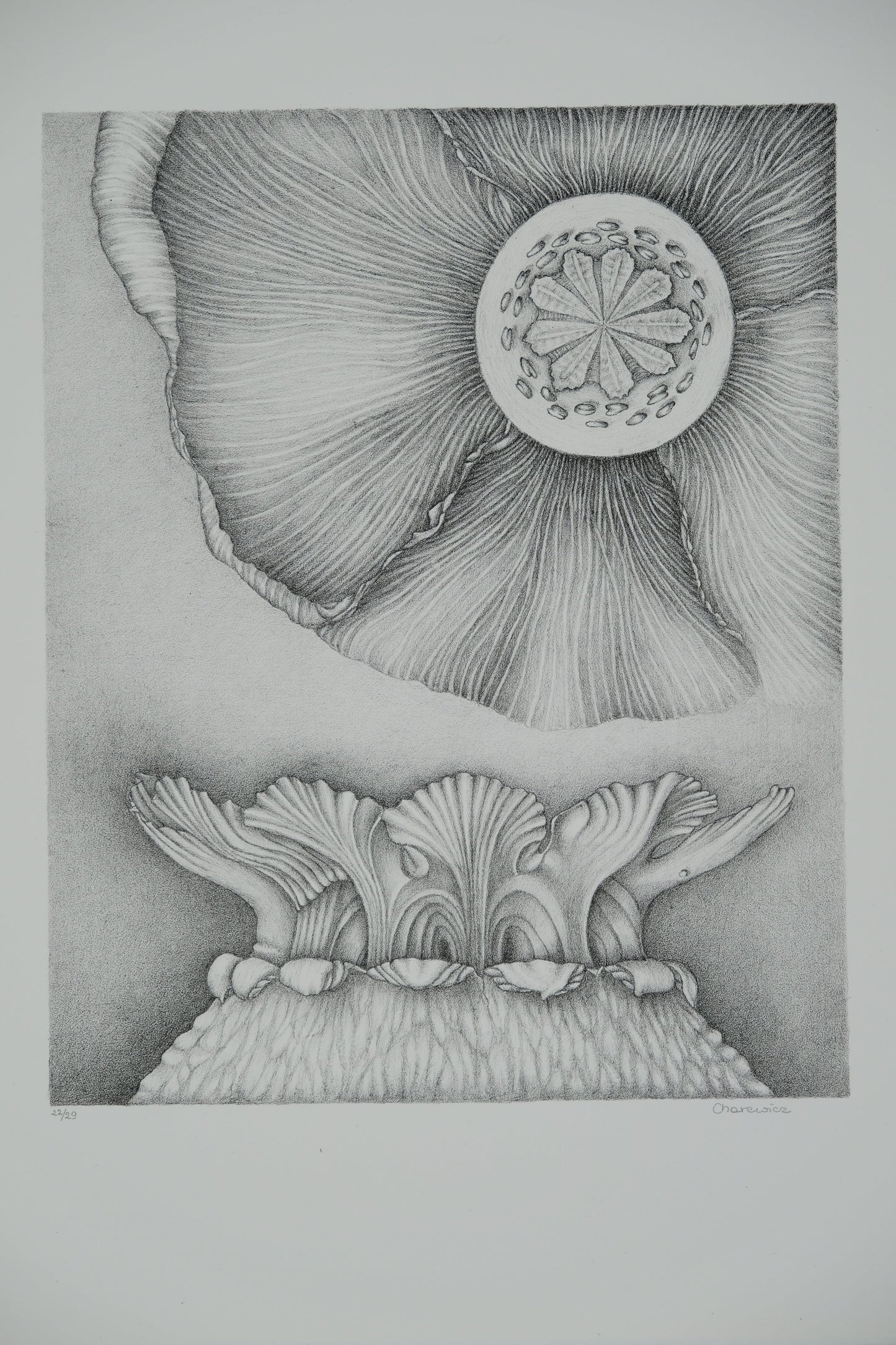 Gochka CHAREWICZ : L'épanouissement - Lithographie originale signée