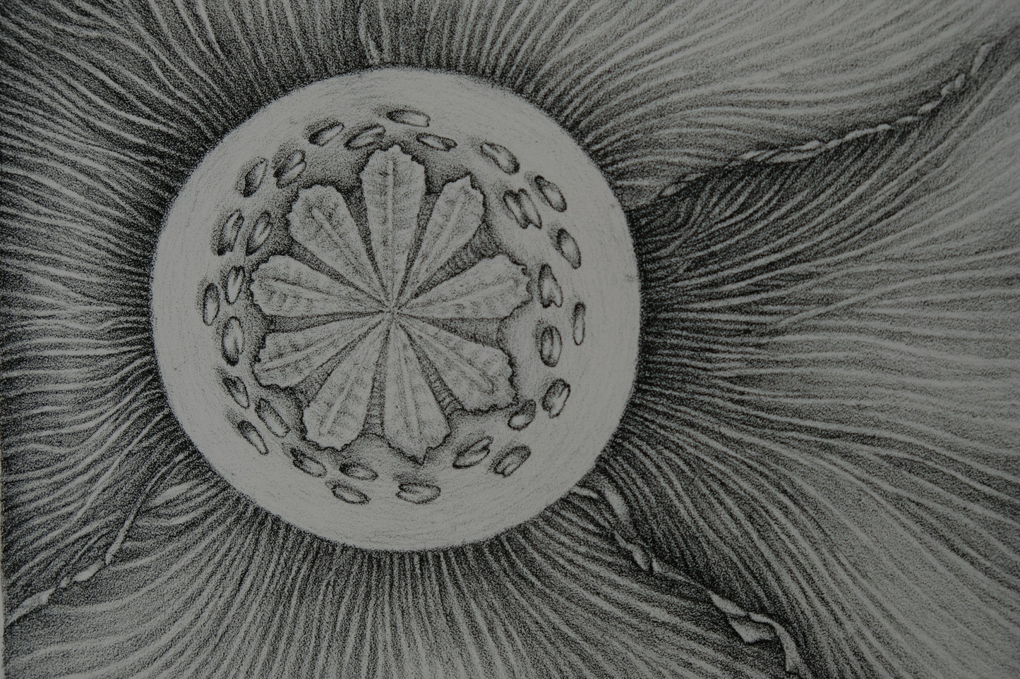 Gochka CHAREWICZ : L'épanouissement - Lithographie originale signée