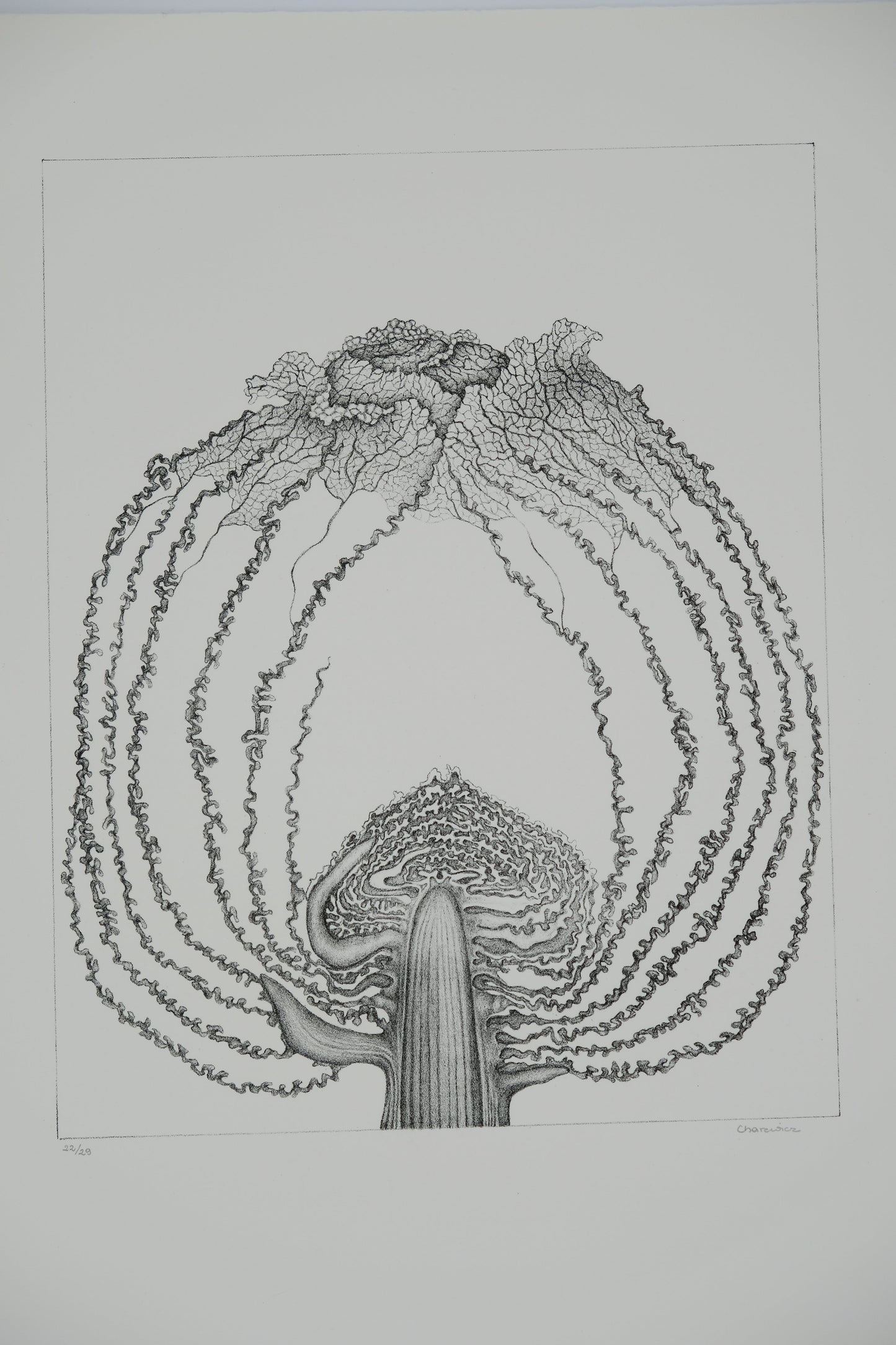 Gochka CHAREWICZ : Le chou - Lithographie originale signée