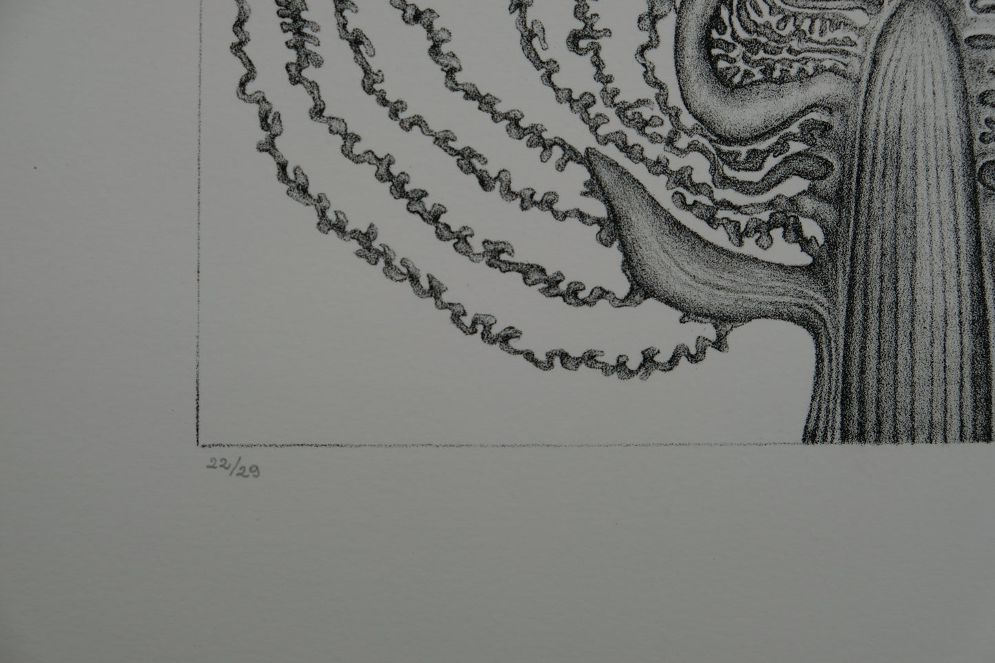 Gochka CHAREWICZ : Le chou - Lithographie originale signée
