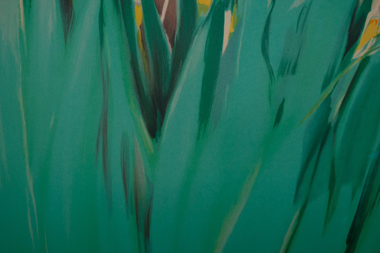 Claude HEMERET : Iris blancs - Lithographie originale signée