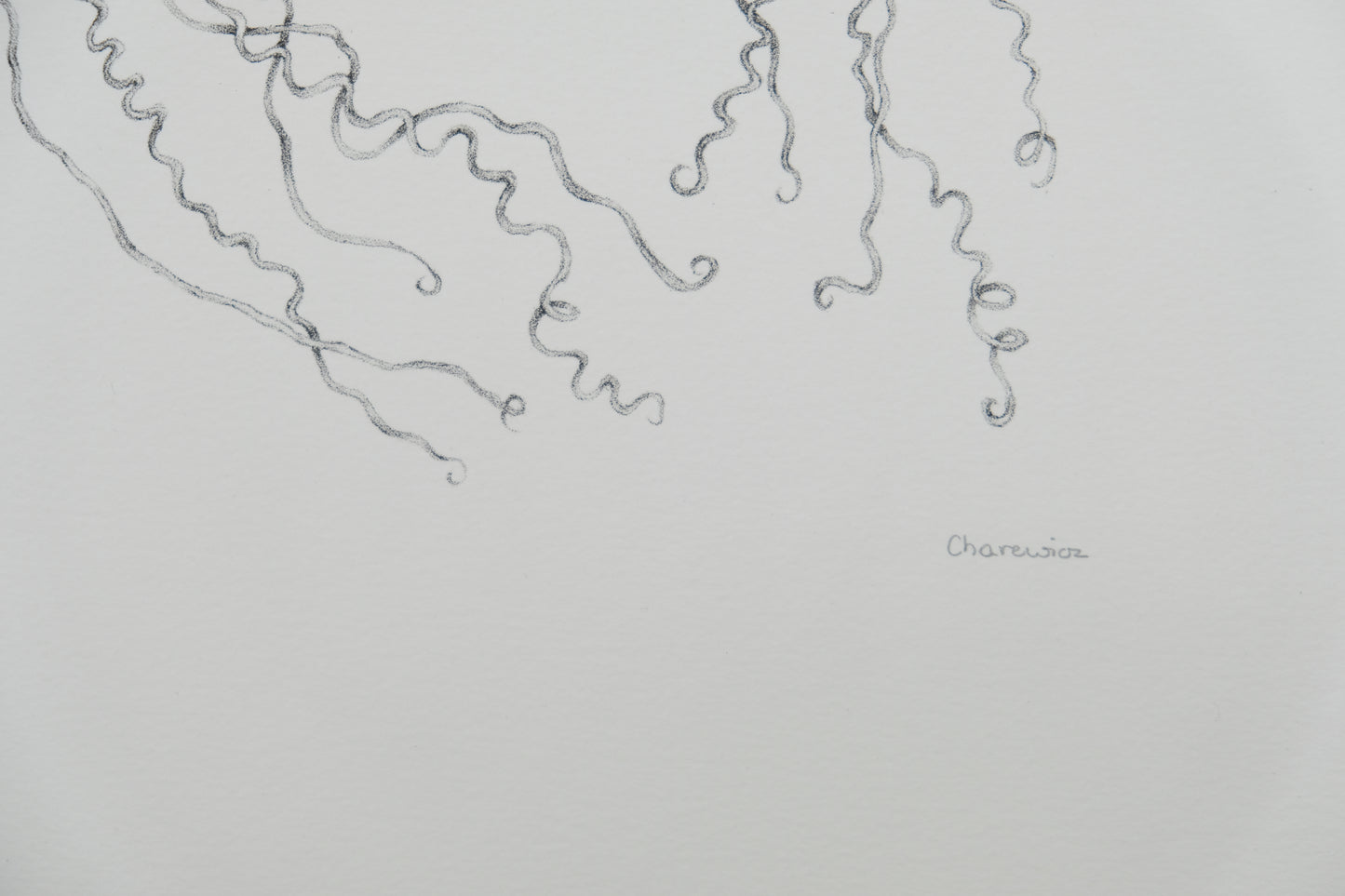 Gochka CHAREWICZ : Nepenthes sins iridum - Lithographie originale signée