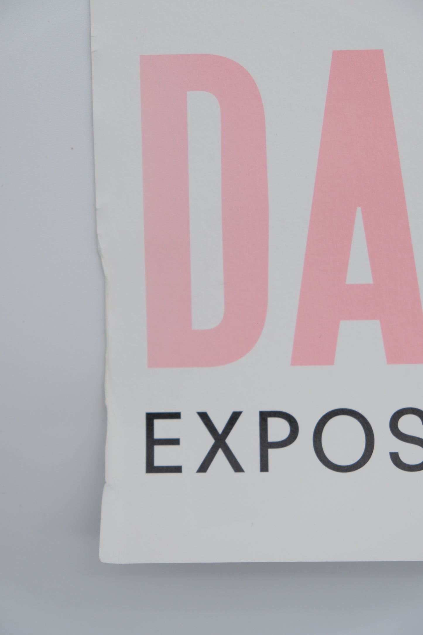 Damien HIRST : Cerisier en fleurs - Affiche originale en couleurs