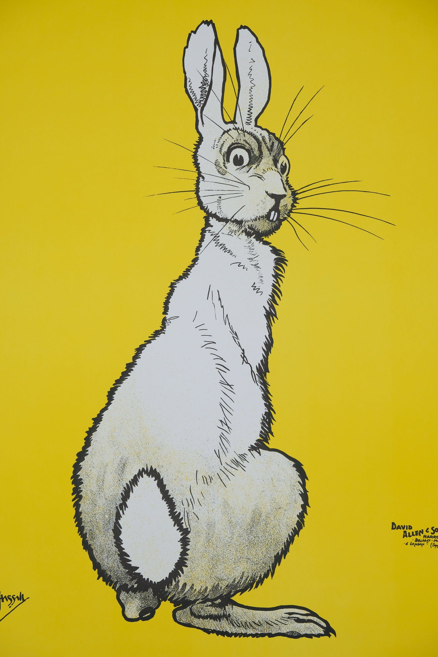 John HASSALL : The wild rabbit - Affiche originale signée