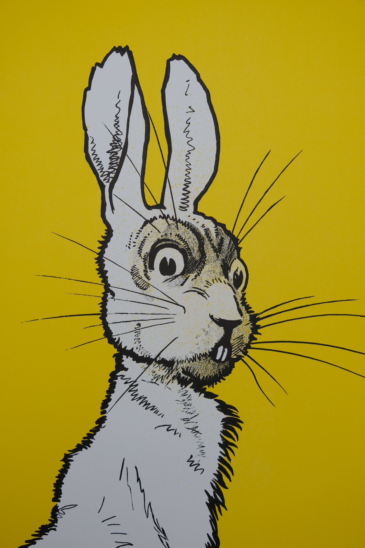 John HASSALL : The wild rabbit - Affiche originale signée