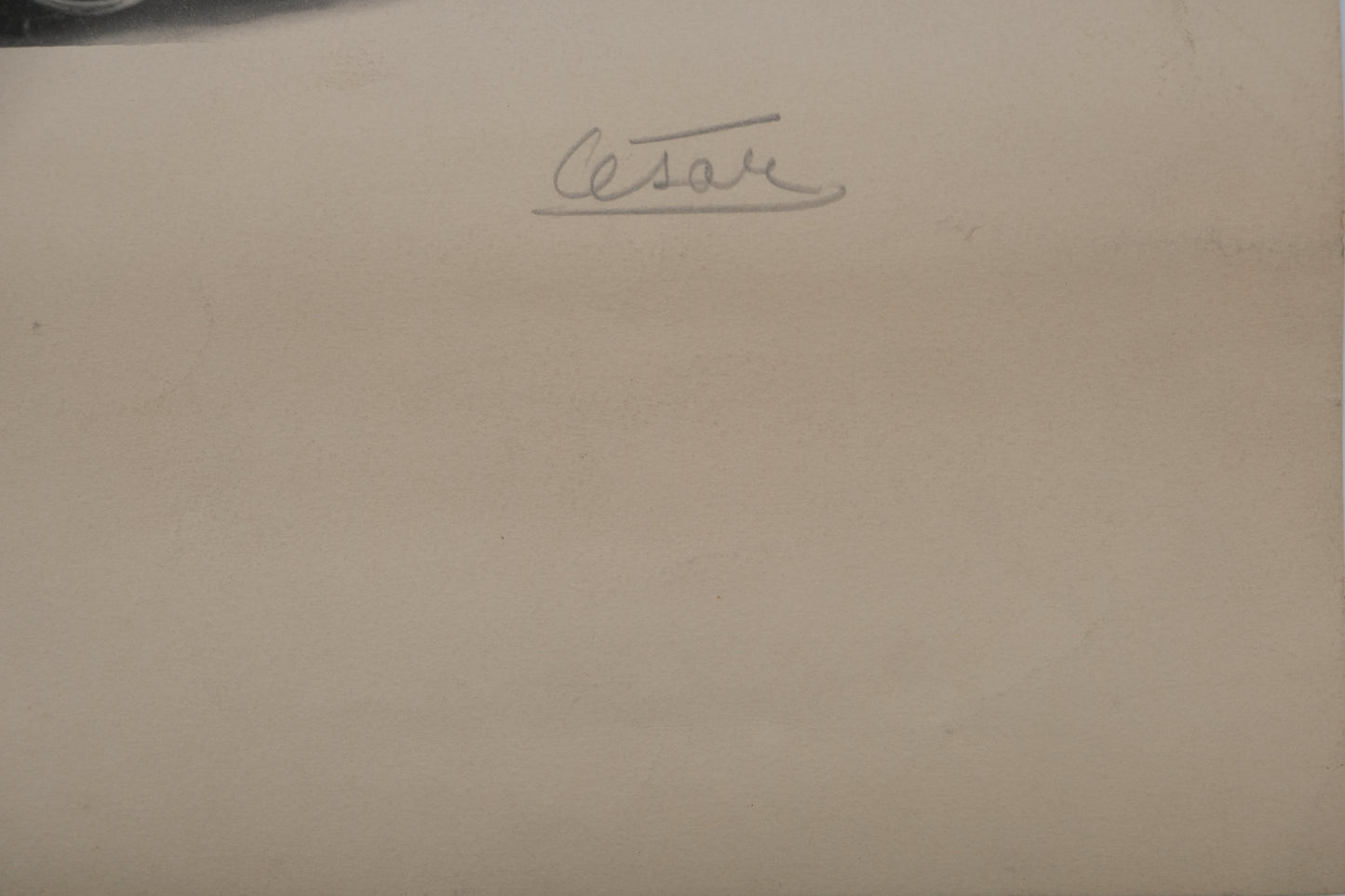 CESAR : Compression - Lithographie originale signée