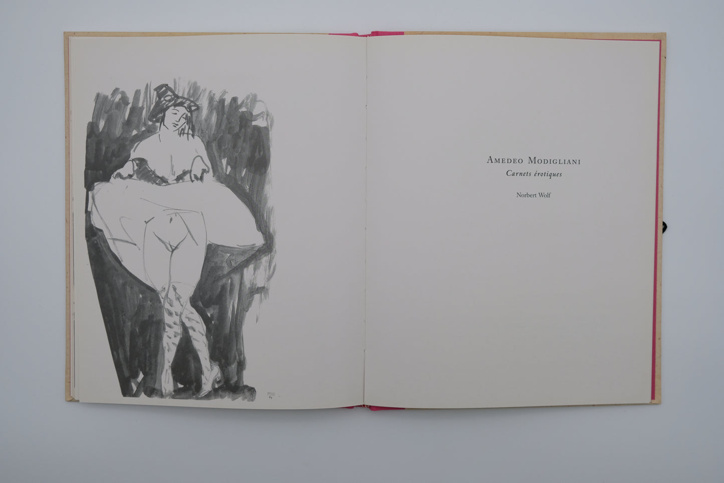 Amedeo MODIGLIANI : Carnets érotiques - Livre illustré