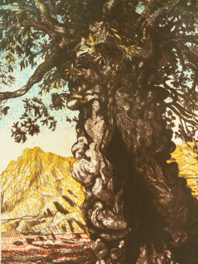 Gerard DIAZ : L'olivier - Gravure originale signée