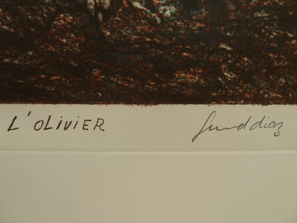 Gerard DIAZ : L'olivier - Gravure originale signée
