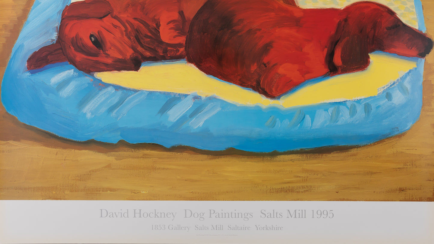 David HOCKNEY : Sleeping Dogs - Affiche originale en couleurs