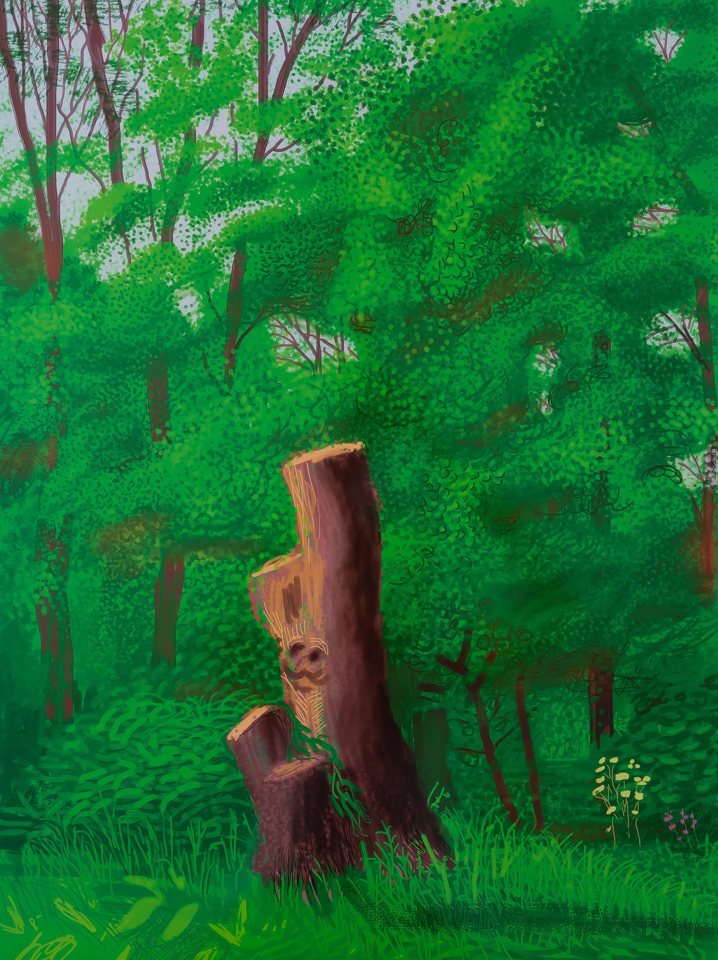 David HOCKNEY : A l'entrée du sous-bois - Affiche originale en couleurs
