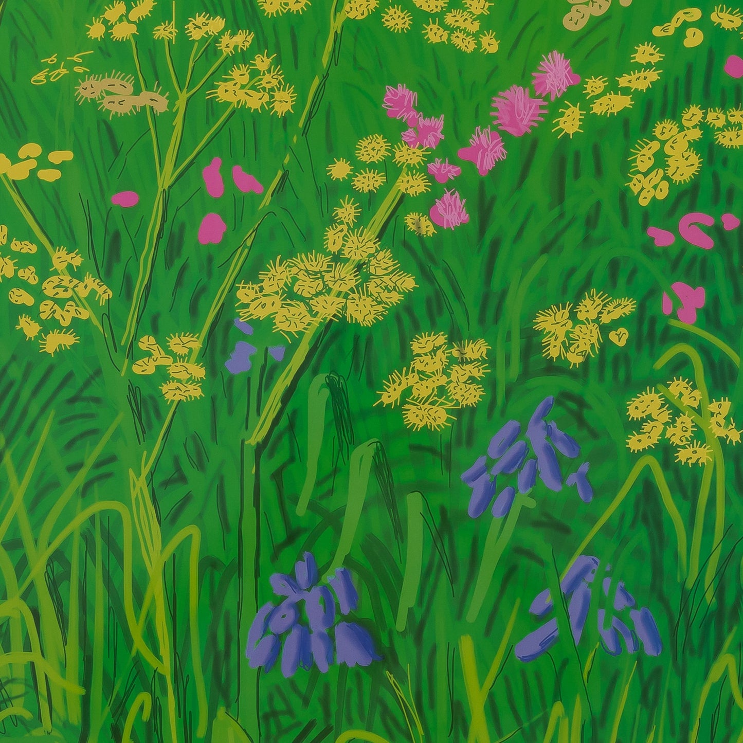 David HOCKNEY : Champs de fleurs - Affiche originale en couleurs