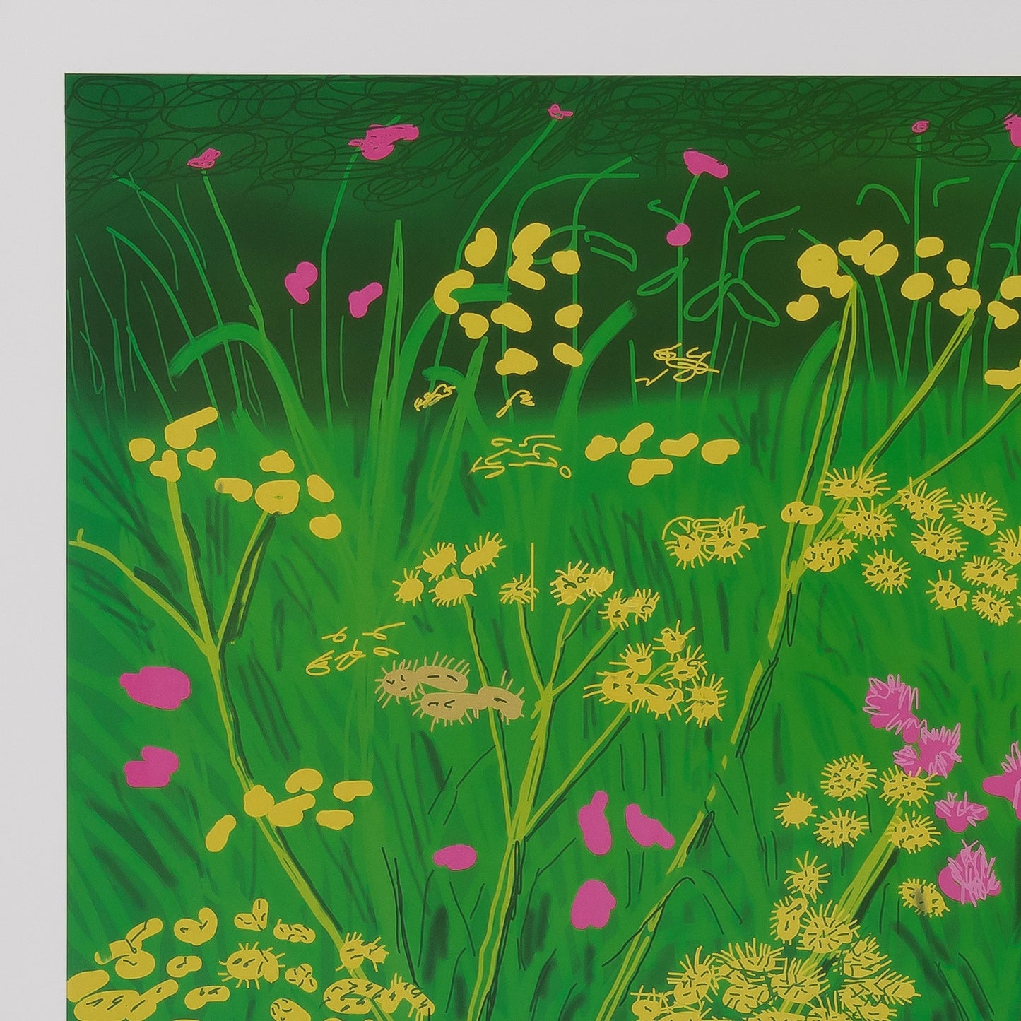 David HOCKNEY : Champs de fleurs - Affiche originale en couleurs
