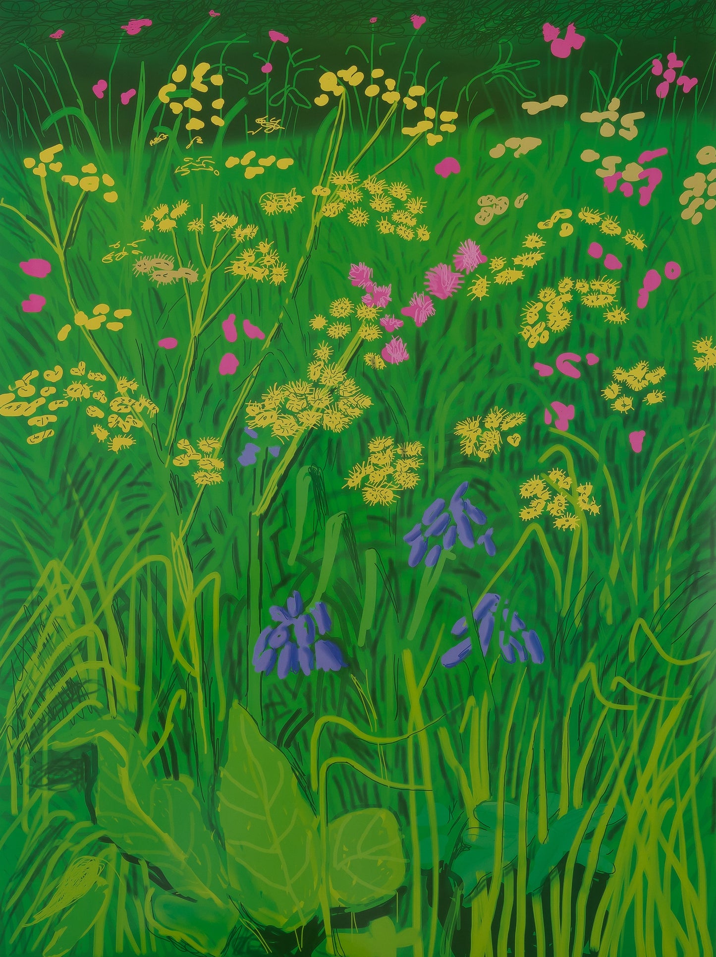 David HOCKNEY : Champs de fleurs - Affiche originale en couleurs