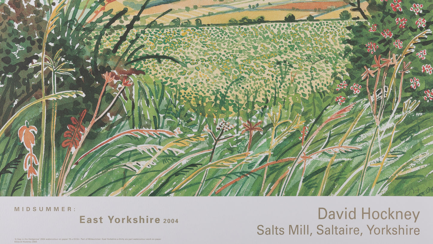 David HOCKNEY : A gap in the Hedgerow - Affiche originale en couleurs
