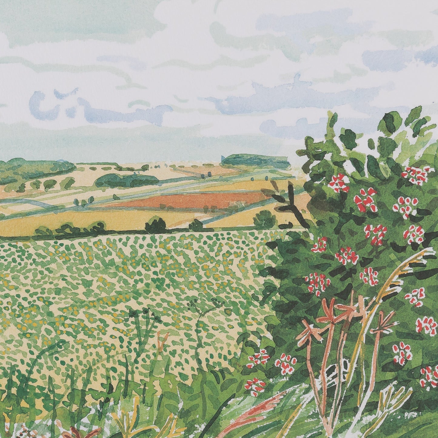 David HOCKNEY : A gap in the Hedgerow - Affiche originale en couleurs