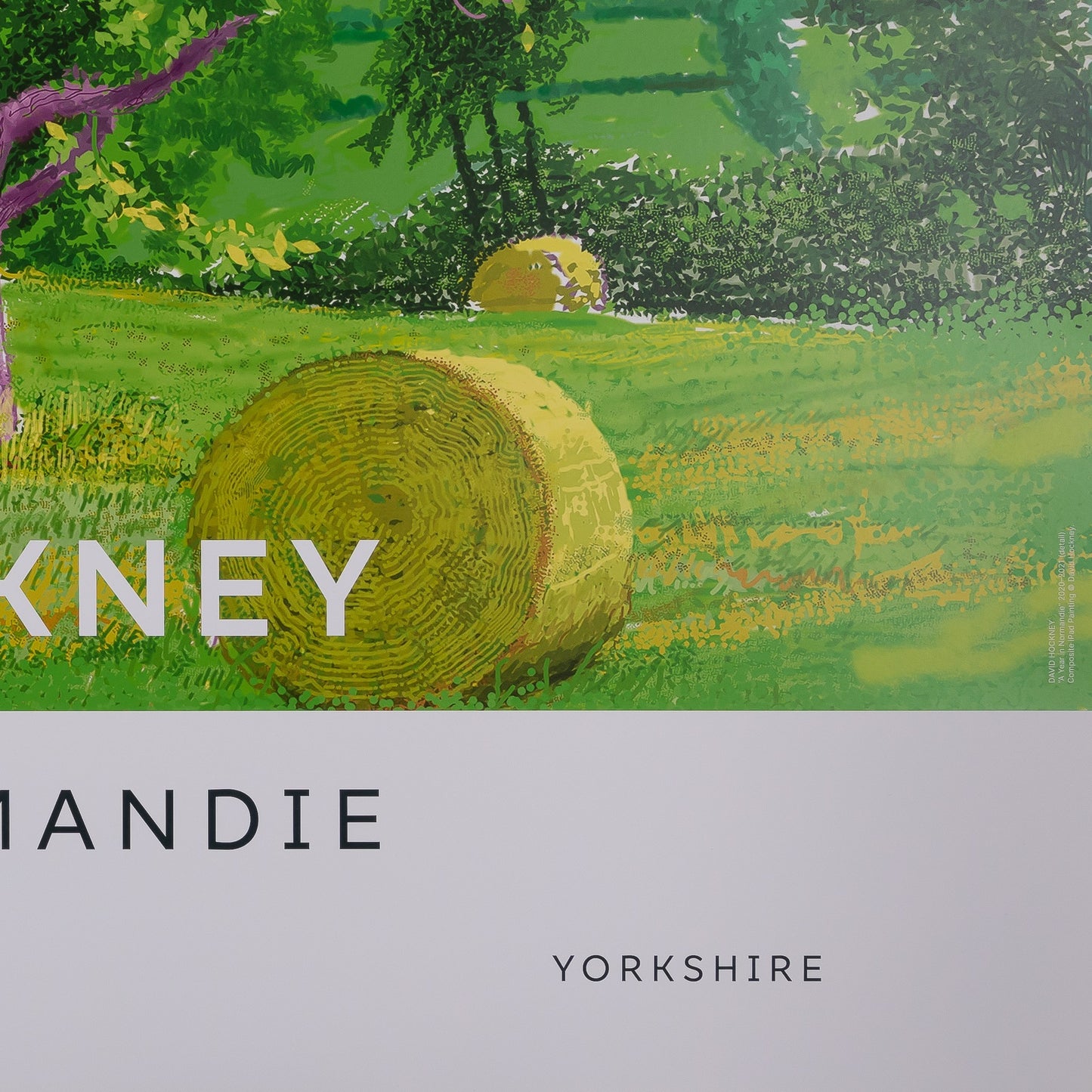 David HOCKNEY : Après la moisson - Affiche originale en couleurs