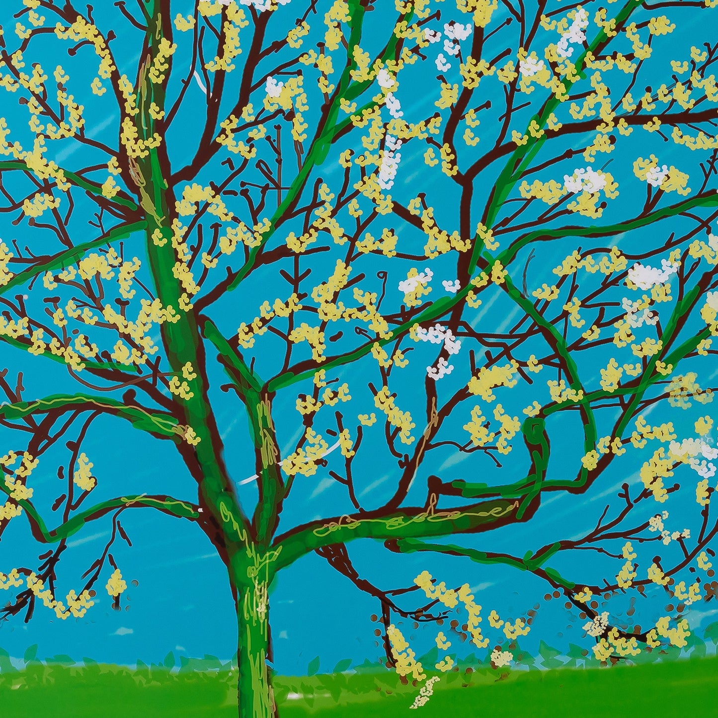 David HOCKNEY : Le cerisier en fleurs - Affiche originale en couleurs