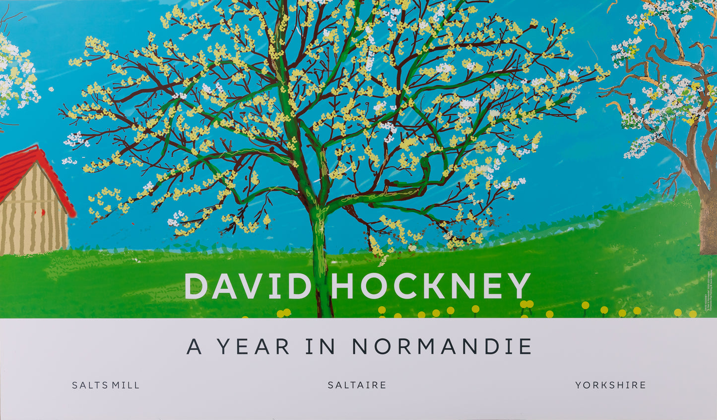 David HOCKNEY : Le cerisier en fleurs - Affiche originale en couleurs