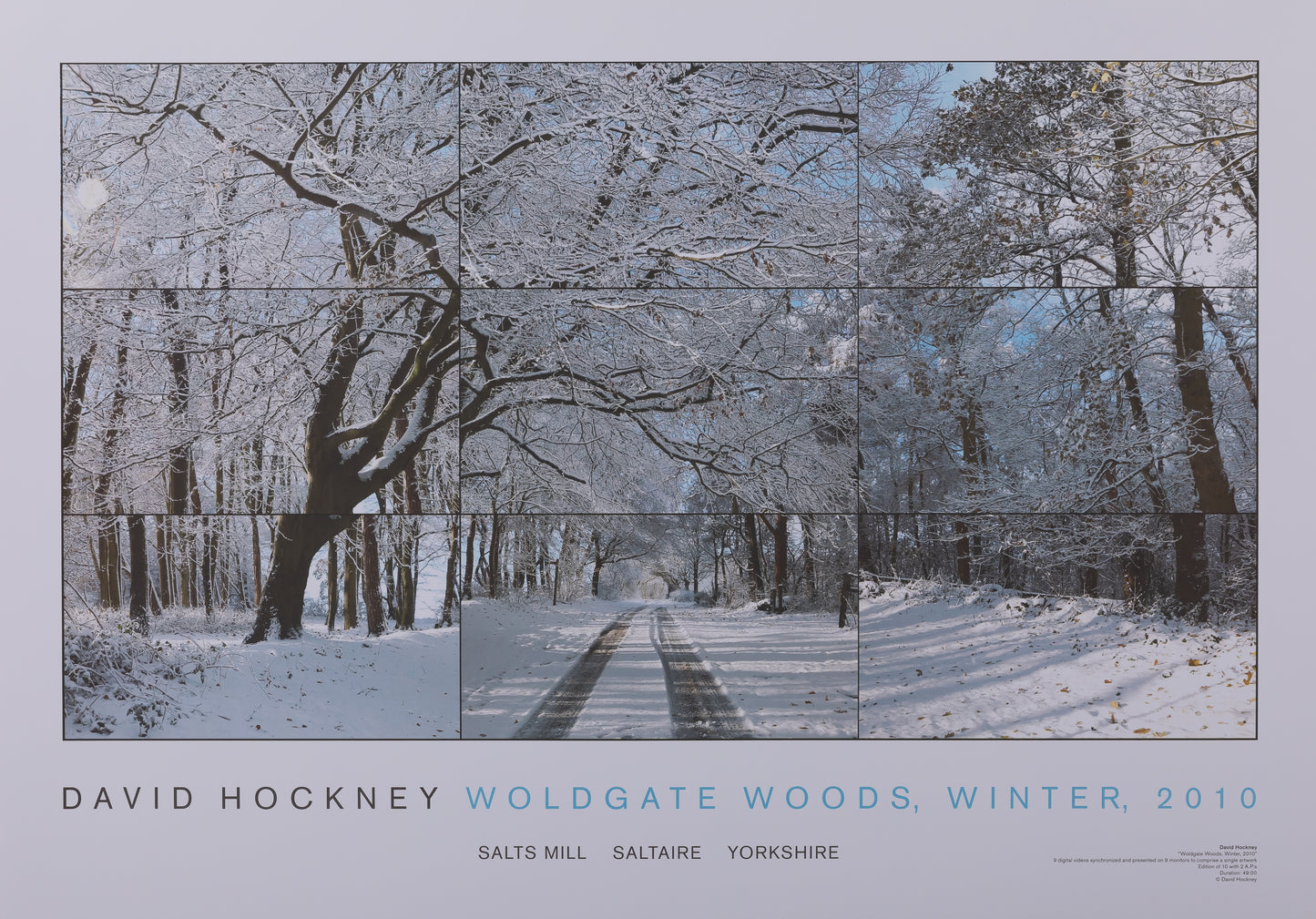 David HOCKNEY : Woldgate woods - Affiche originale
