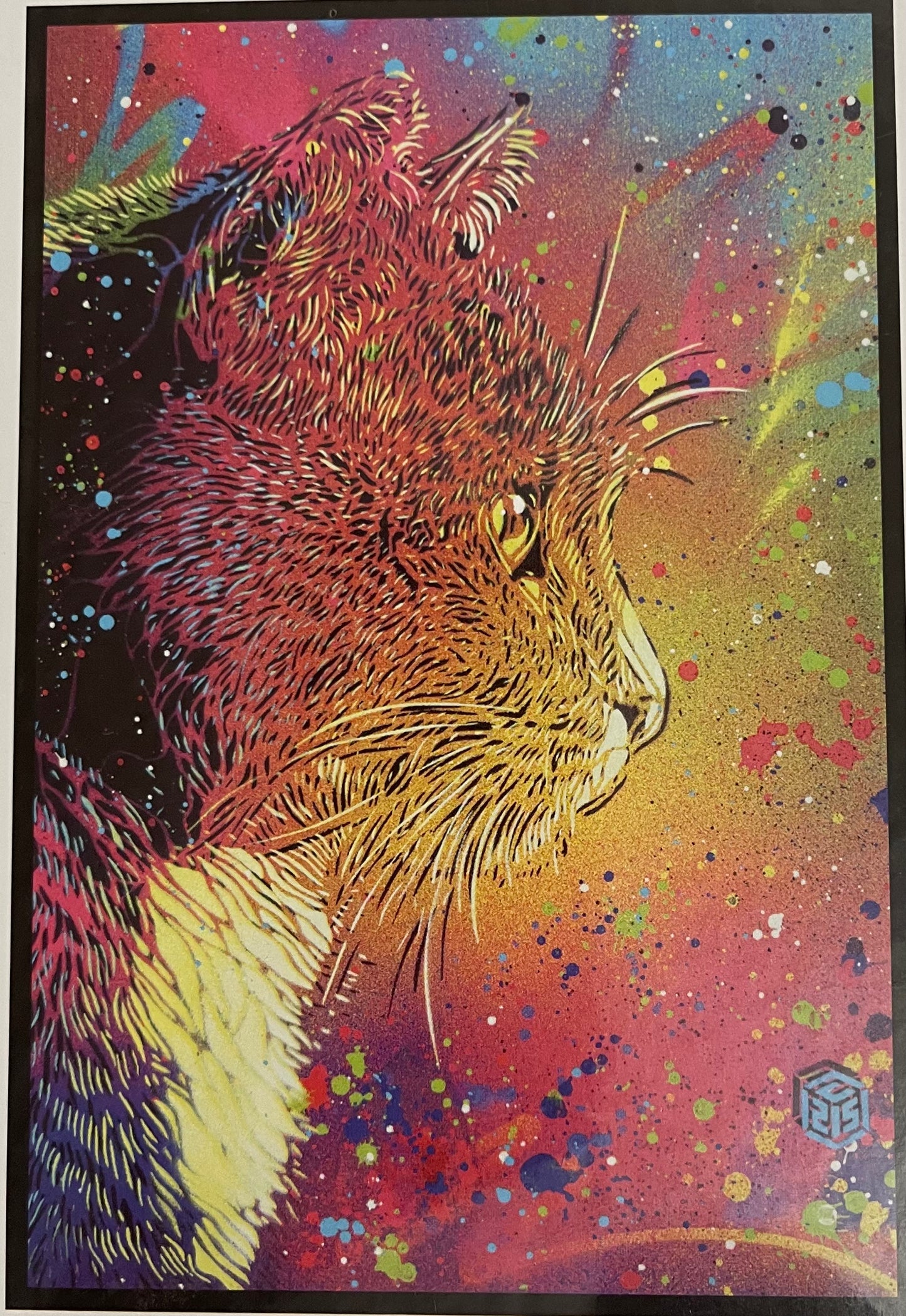 C215 : Bibi le chat - Puzzle
