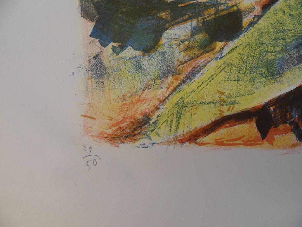 François DESNOYER : Bord de rivière - Lithographie originale signée