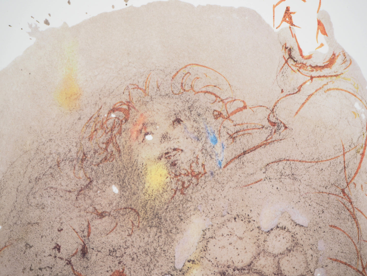 Salvador DALI : La Création de l’Homme - Lithographie signée