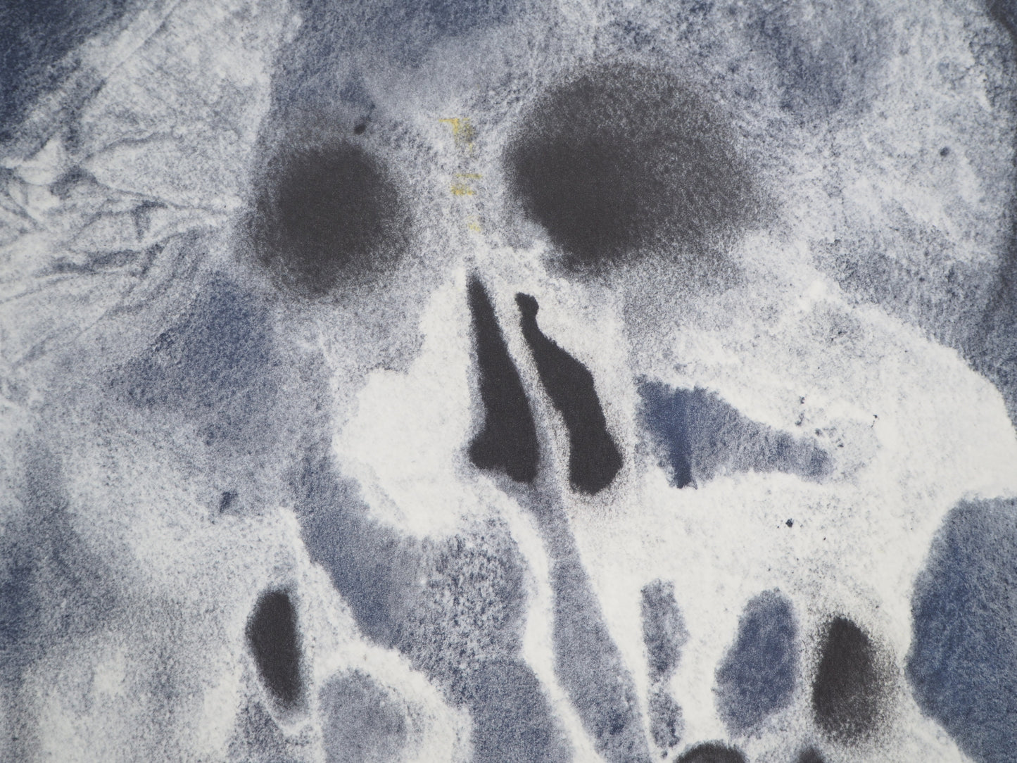 Salvador DALI : Vanité - Lithographie