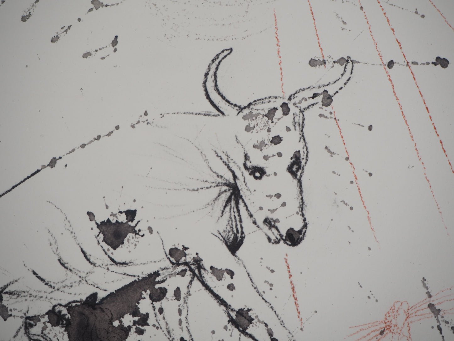 Salvador DALI : Le lion et le boeuf - Lithographie signée