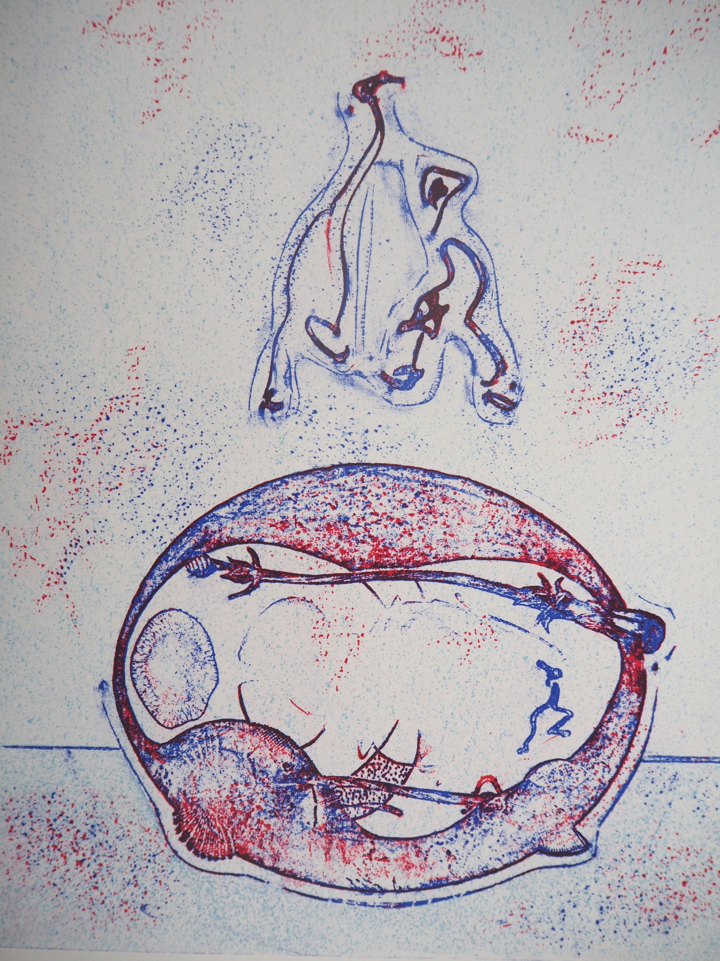 Max ERNST : Après moi le XXe siècle - Lithographie originale