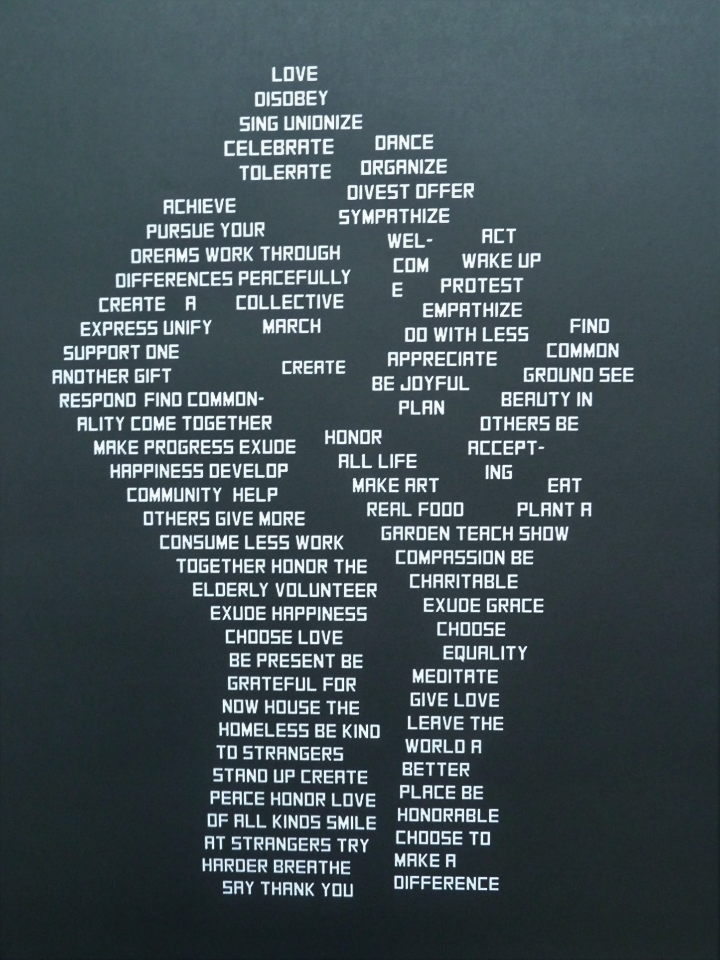 Ann LEWIS : The Revolution Evolves - Affiche originale